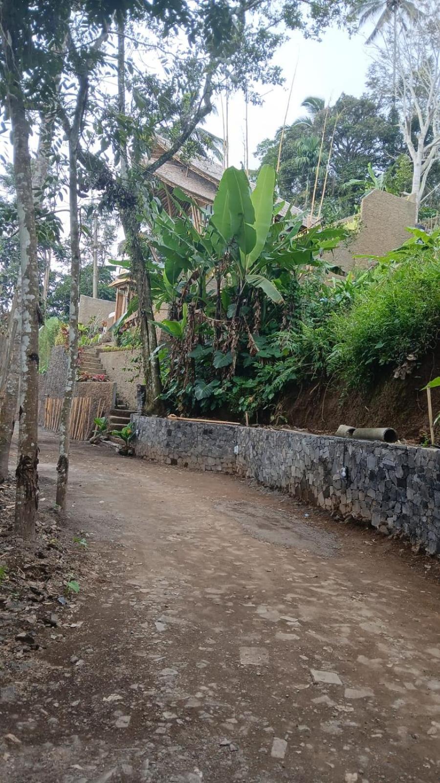 Willa Danaswari Bali Bamboo House Selat Zewnętrze zdjęcie
